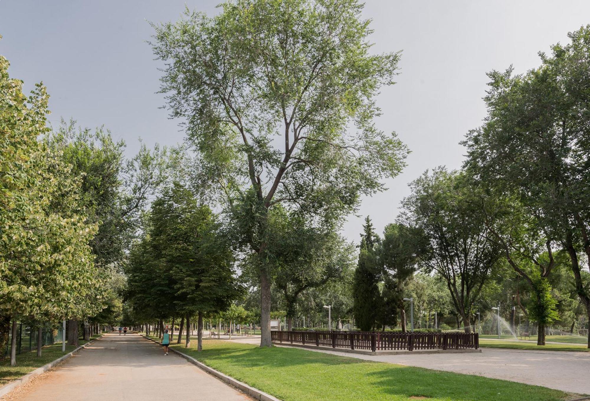 Caja Magica Arrendamiento De Temporada Apartman Madrid Kültér fotó